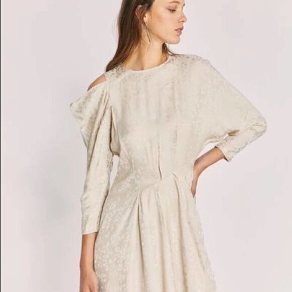 IRO Atry Leopard Print Dress - Picture 2 of 9